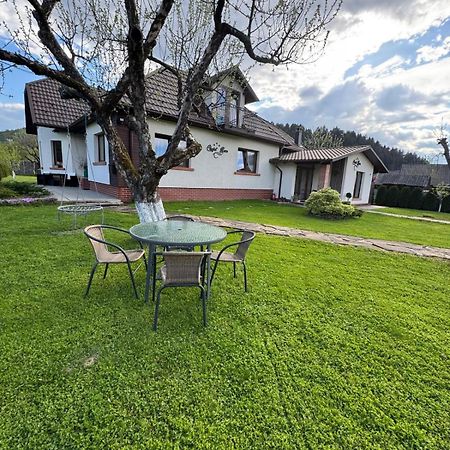 Chalet Bora Viseu de Jos Exterior photo