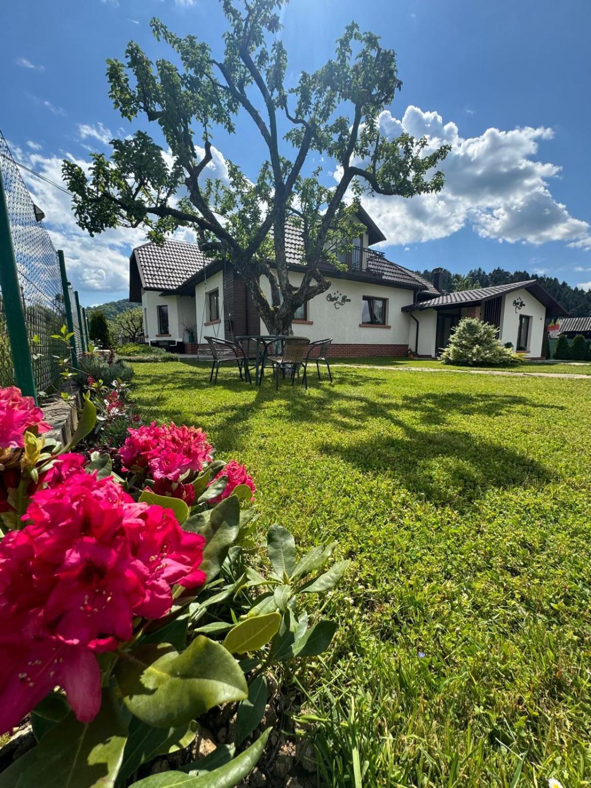 Chalet Bora Viseu de Jos Exterior photo
