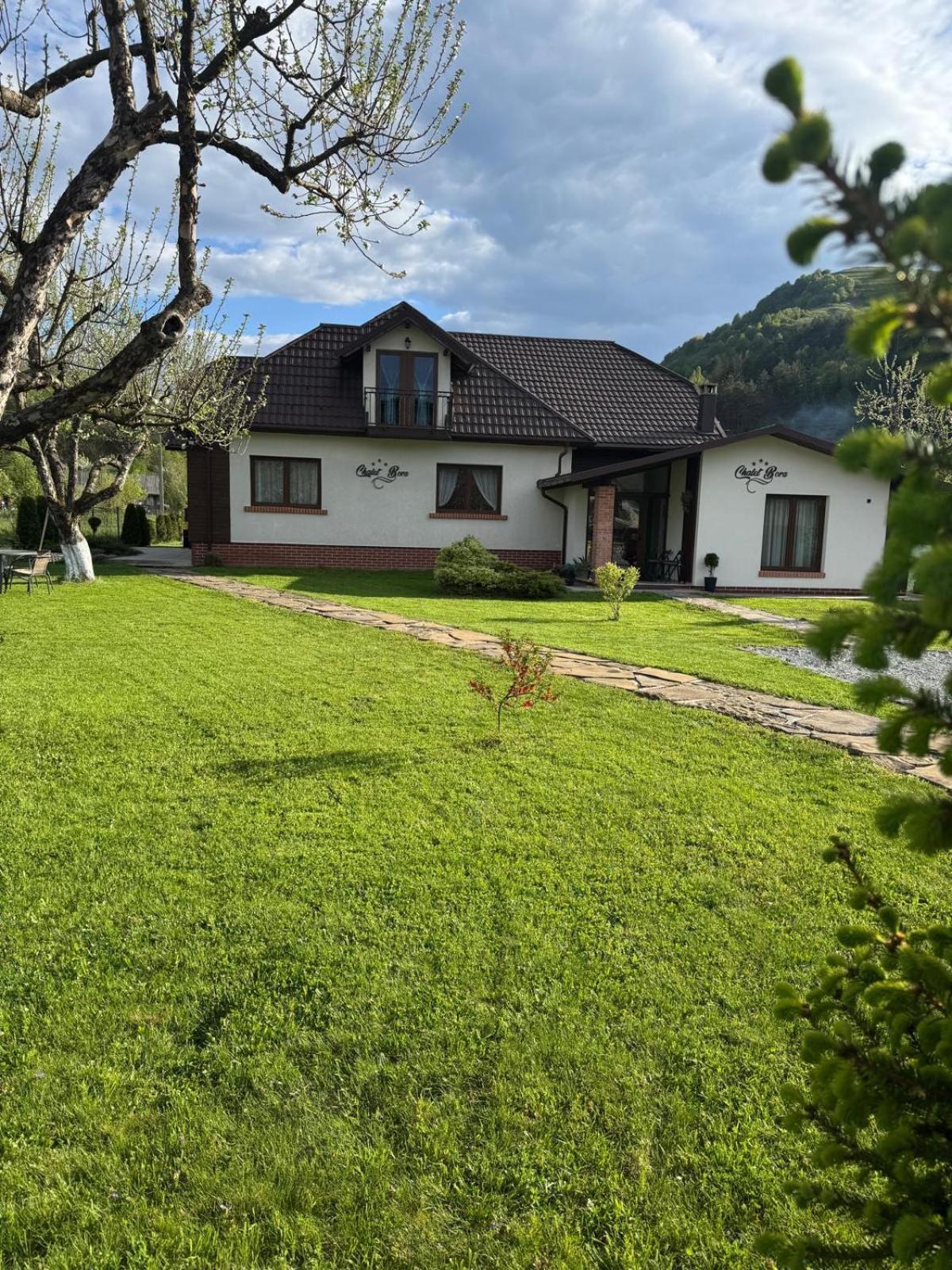 Chalet Bora Viseu de Jos Exterior photo